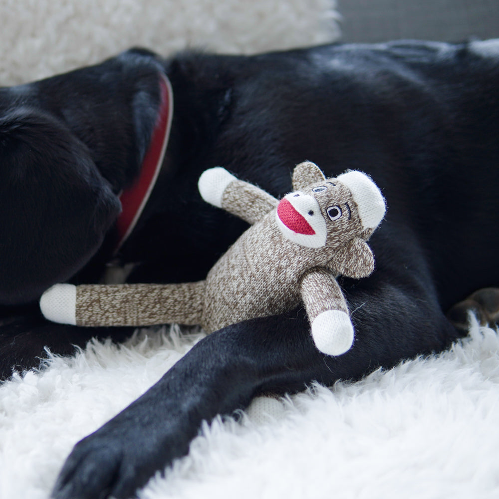 Your Dog’s Very Own Sock Monkey Toy