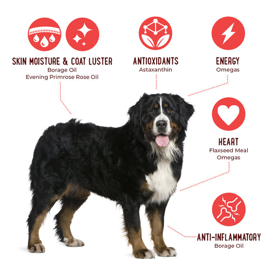 Omega 3-6-9 Select Grain Free Skin & Coat Chews With Pure Antarctic Krill Oil