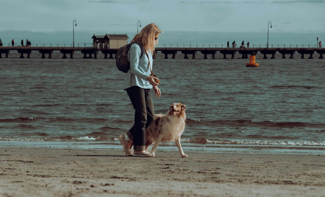 8 Ways to Help a Senior Dog Stay Social and Engaged