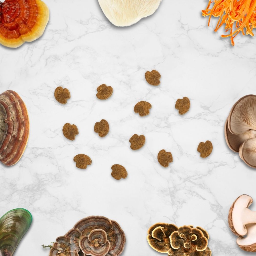 Hemp Mushroom Chews For Dogs - Mobility, Calming, Allergy & Immune Support – Super Mushroom Blend with Turkey Tail, Lion’s Main, Shiitake & Green Lipped Mussels - 60ct / 600MG HEMP