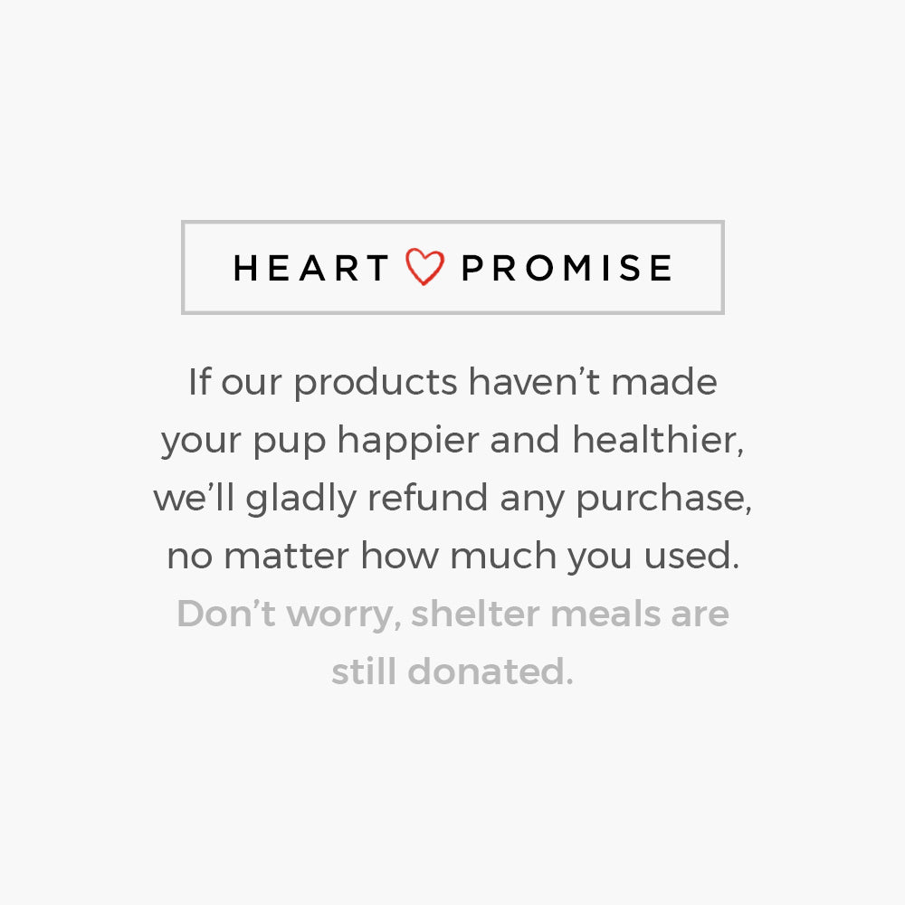 Honey Guard™ – Allergy & Itch Powder for Dogs Extra Strength with Manuka Honey, Quercetin, Colostrum, Krill Oil and Probiotics – 90 Scoops