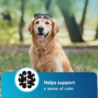 Cannanine™ Bacon Flavored CBD Soft Chews For Dogs (60 Count)