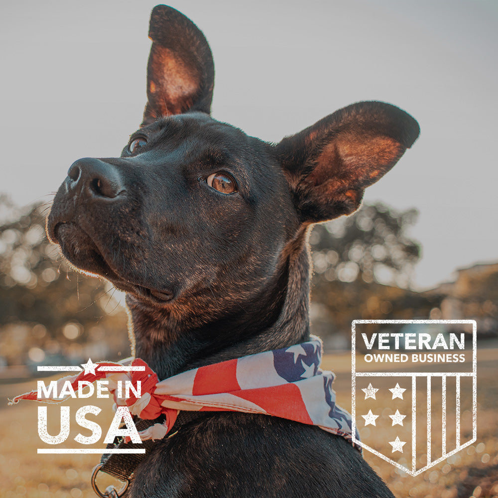 BUY 2 AND SAVE Cannanine Bacon Flavor Soft Chews With Hemp For Dogs - 300 mg. 60 ct.