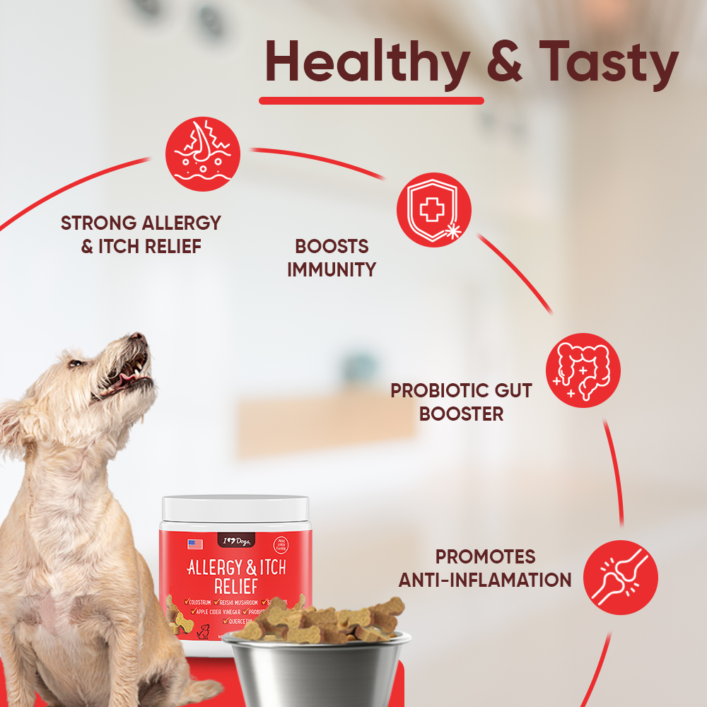 Set of 3 Bacon Flavored Hemp Calming Soft Chews and 3 Allergy & Itch Relief for Dogs with Salmon Oil, Quercetin, Colostrum, Antioxidants and Probiotics