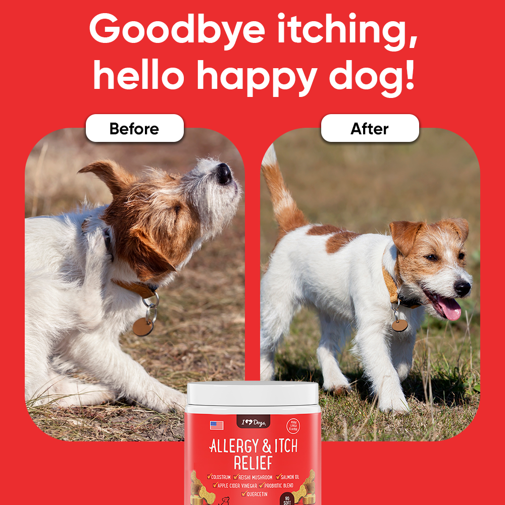 Set of 3 Bacon Flavored Hemp Calming Soft Chews and 3 Allergy & Itch Relief for Dogs with Salmon Oil, Quercetin, Colostrum, Antioxidants and Probiotics