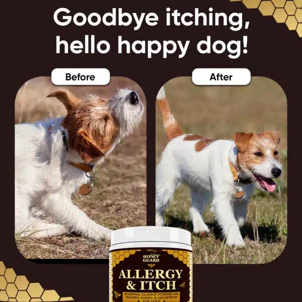 Honey Guard™ – Allergy & Itch Powder for Dogs Extra Strength with Manuka Honey, Quercetin, Colostrum, Krill Oil and Probiotics – 90 Scoops