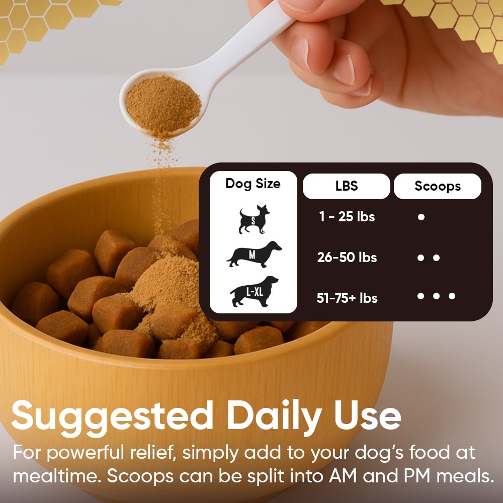 Honey Guard™ – Allergy & Itch Powder for Dogs Extra Strength with Manuka Honey, Quercetin, Colostrum, Krill Oil and Probiotics – 90 Scoops