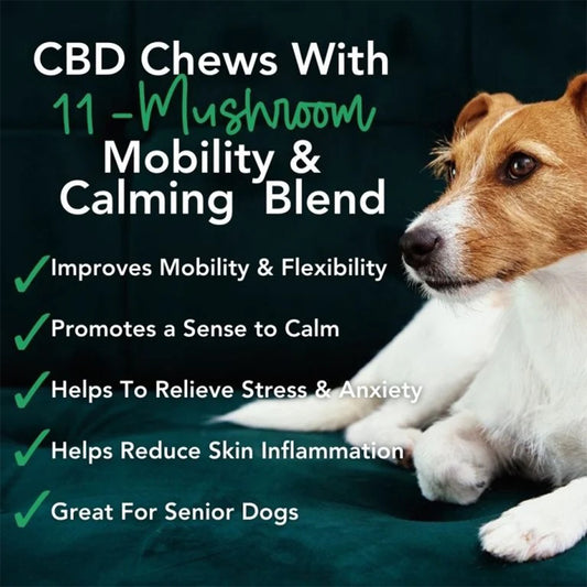 Hemp Mushroom Chews For Dogs - Mobility, Calming, Allergy & Immune Support – Super Mushroom Blend with Turkey Tail, Lion’s Main, Shiitake & Green Lipped Mussels - 60ct / 600MG HEMP