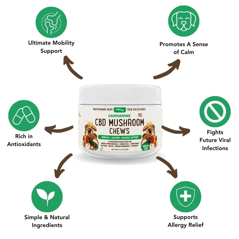 Hemp Mushroom Chews For Dogs - Mobility, Calming, Allergy & Immune Support – Super Mushroom Blend with Turkey Tail, Lion’s Main, Shiitake & Green Lipped Mussels - 60ct / 600MG HEMP