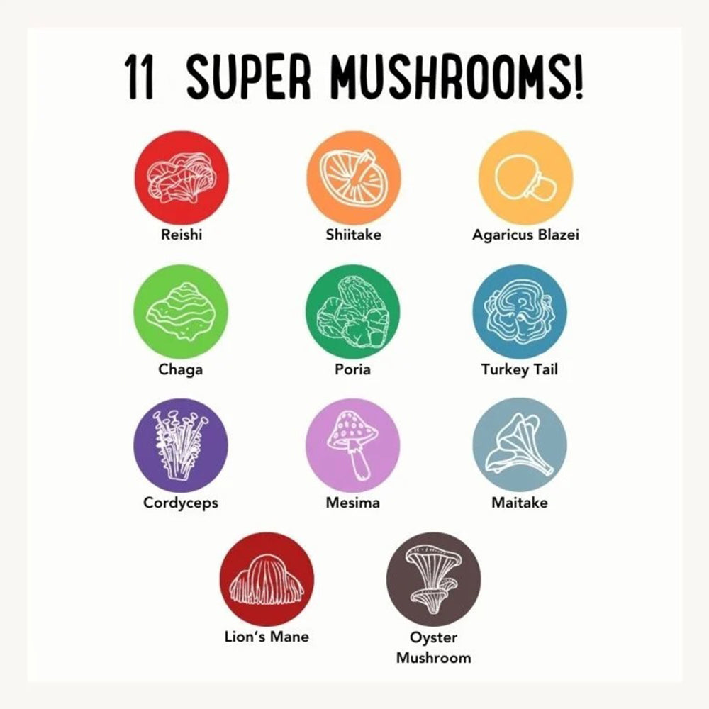 Hemp Mushroom Chews For Dogs - Mobility, Calming, Allergy & Immune Support – Super Mushroom Blend with Turkey Tail, Lion’s Main, Shiitake & Green Lipped Mussels - 60ct / 600MG HEMP