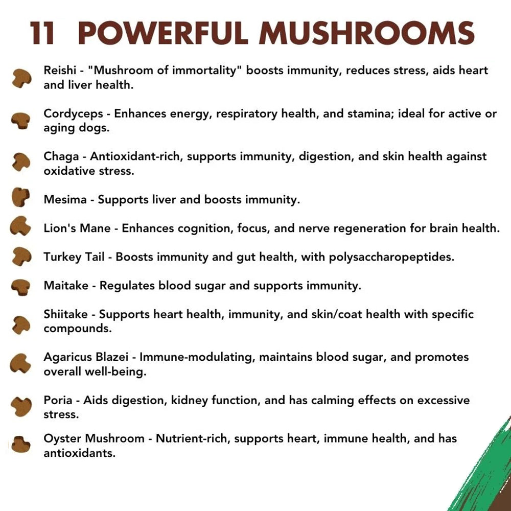 Hemp Mushroom Chews For Dogs - Mobility, Calming, Allergy & Immune Support – Super Mushroom Blend with Turkey Tail, Lion’s Main, Shiitake & Green Lipped Mussels - 60ct / 600MG HEMP