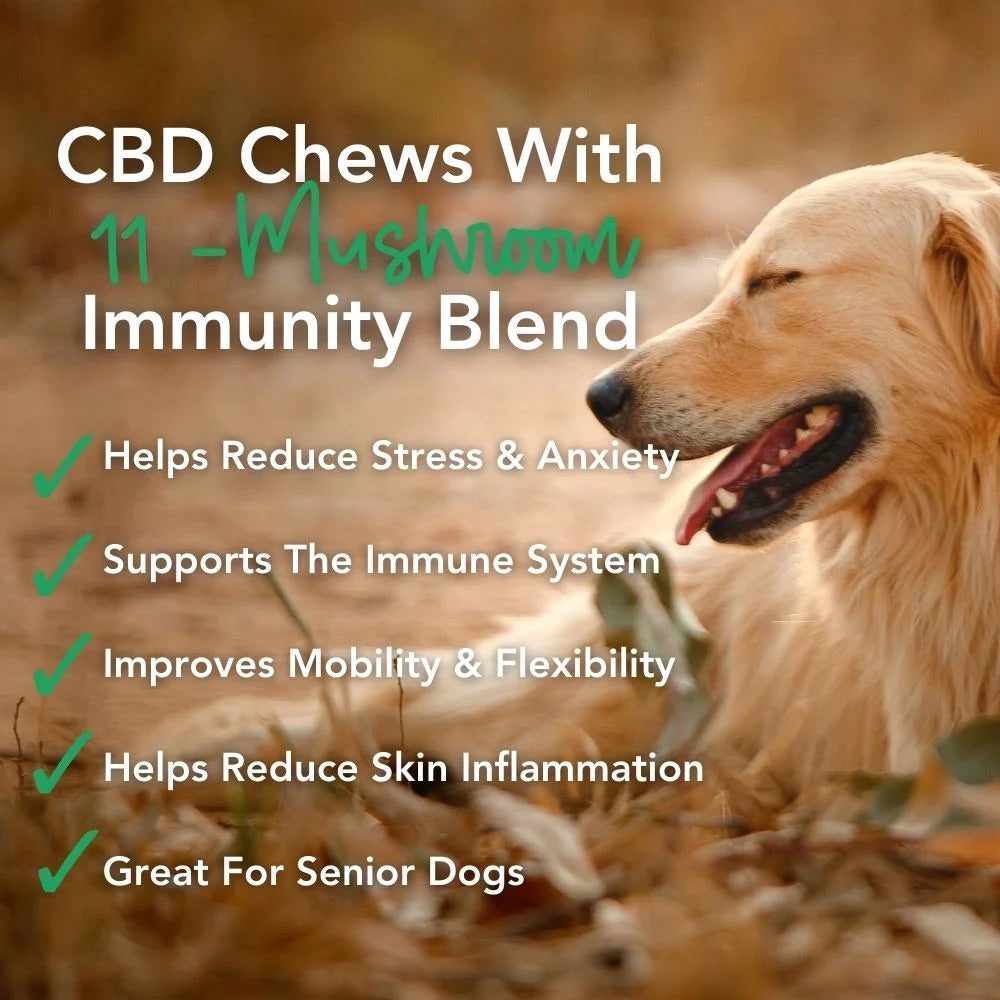 Hemp Mushroom Chews For Dogs - Mobility, Calming, Allergy & Immune Support – Super Mushroom Blend with Turkey Tail, Lion’s Main, Shiitake & Green Lipped Mussels - 60ct / 600MG HEMP