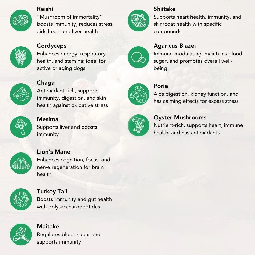 Hemp Mushroom Chews For Dogs - Mobility, Calming, Allergy & Immune Support – Super Mushroom Blend with Turkey Tail, Lion’s Main, Shiitake & Green Lipped Mussels - 60ct / 600MG HEMP
