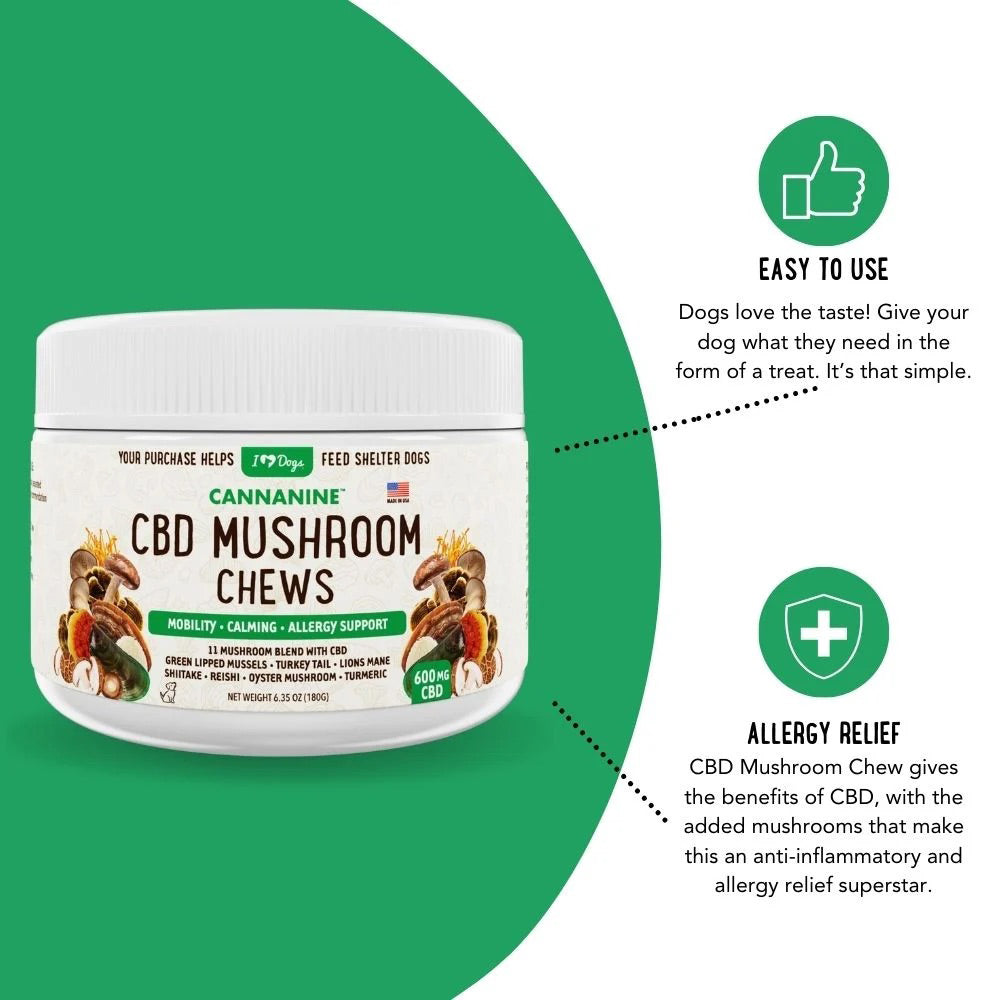 Hemp Mushroom Chews For Dogs - Mobility, Calming, Allergy & Immune Support – Super Mushroom Blend with Turkey Tail, Lion’s Main, Shiitake & Green Lipped Mussels - 60ct / 600MG HEMP