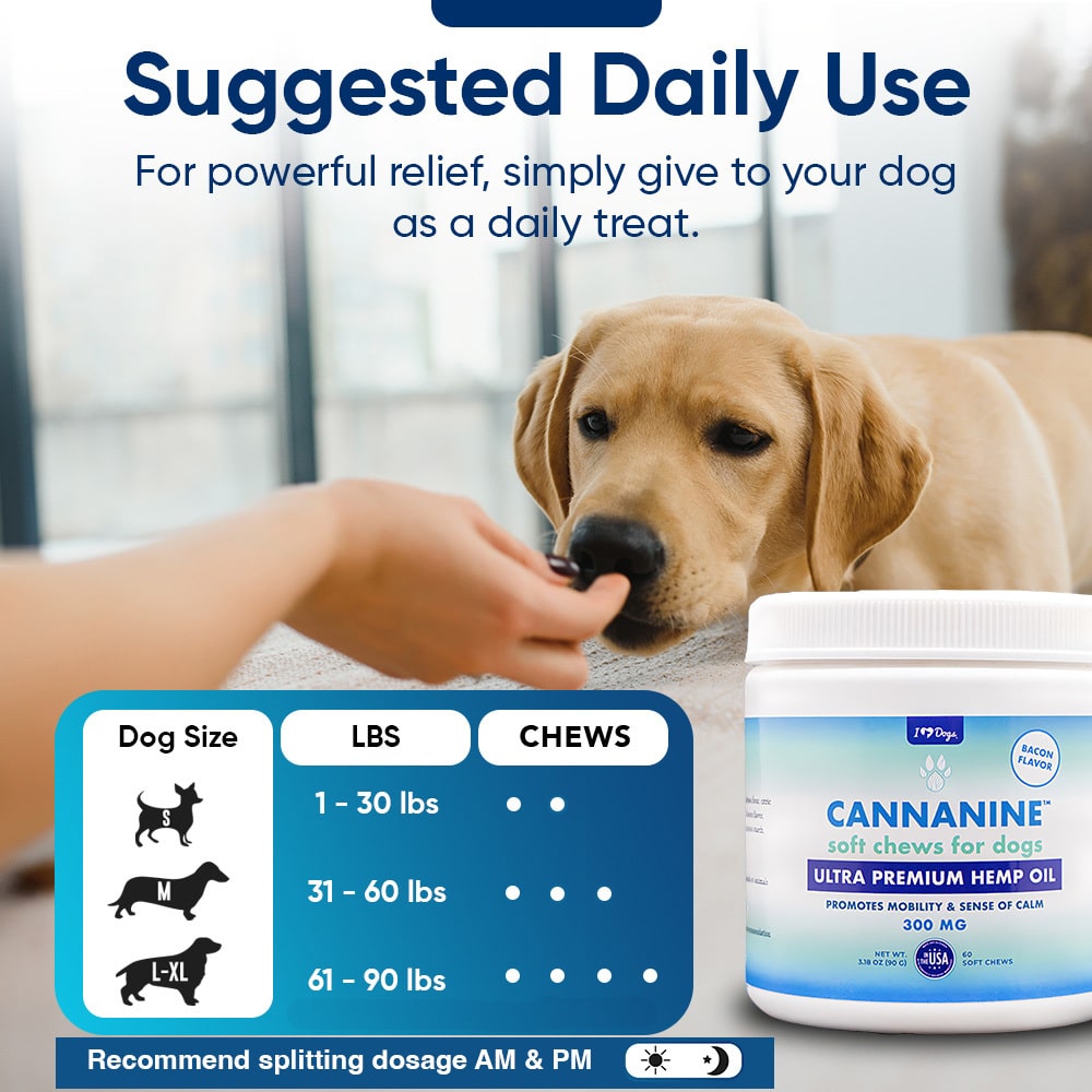 Set of 3 Bacon Flavored Hemp Calming Soft Chews and 3 Allergy & Itch Relief for Dogs with Salmon Oil, Quercetin, Colostrum, Antioxidants and Probiotics