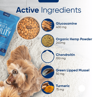 Advanced 8-in-1 Hip & Joint Chews for Mobility — 90 Count
