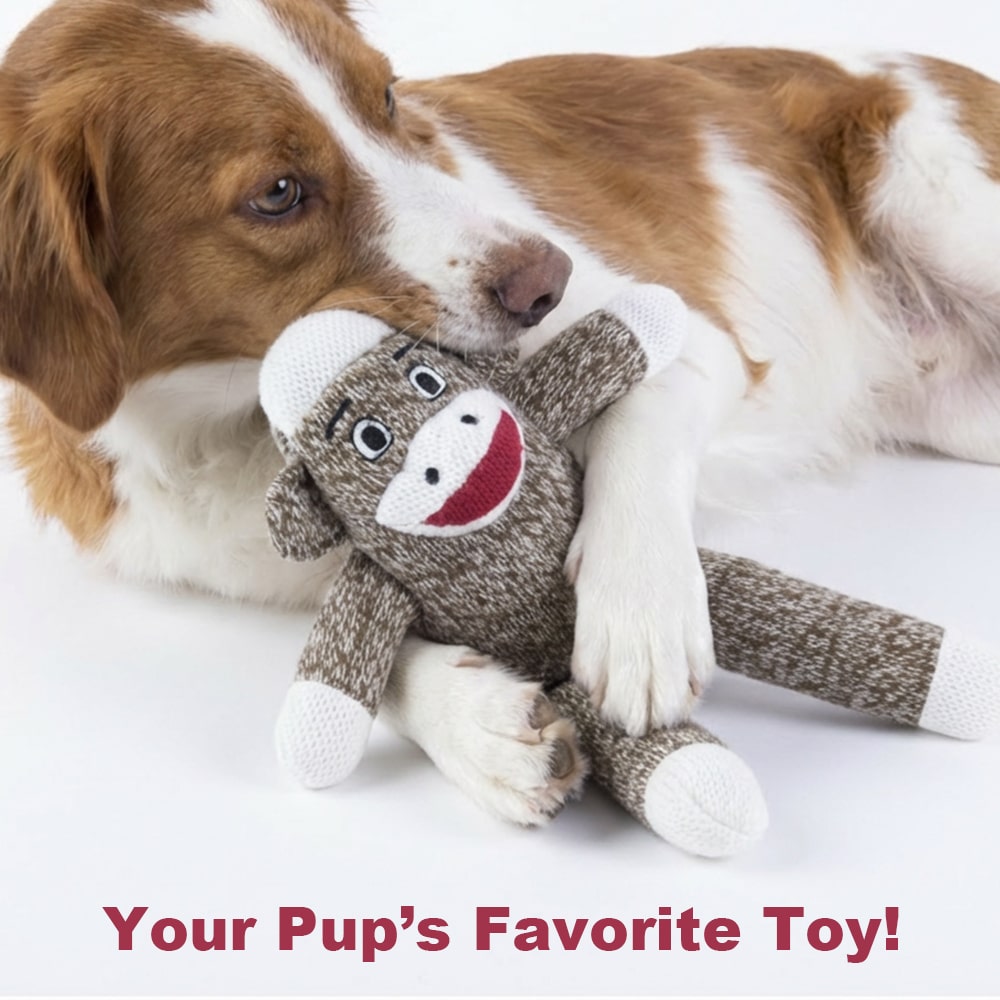 Your Dog’s Very Own Sock Monkey Toy