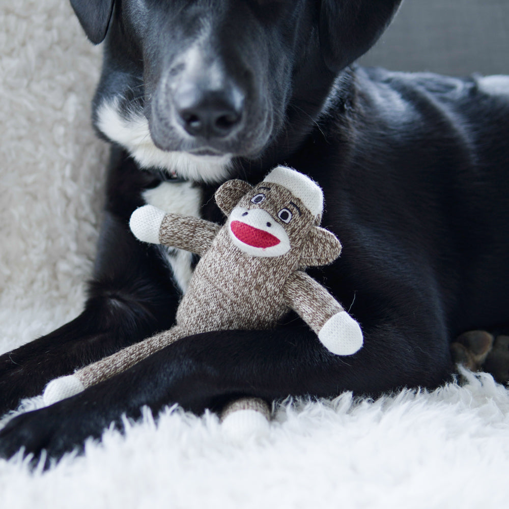 Your Dog’s Very Own Sock Monkey Toy