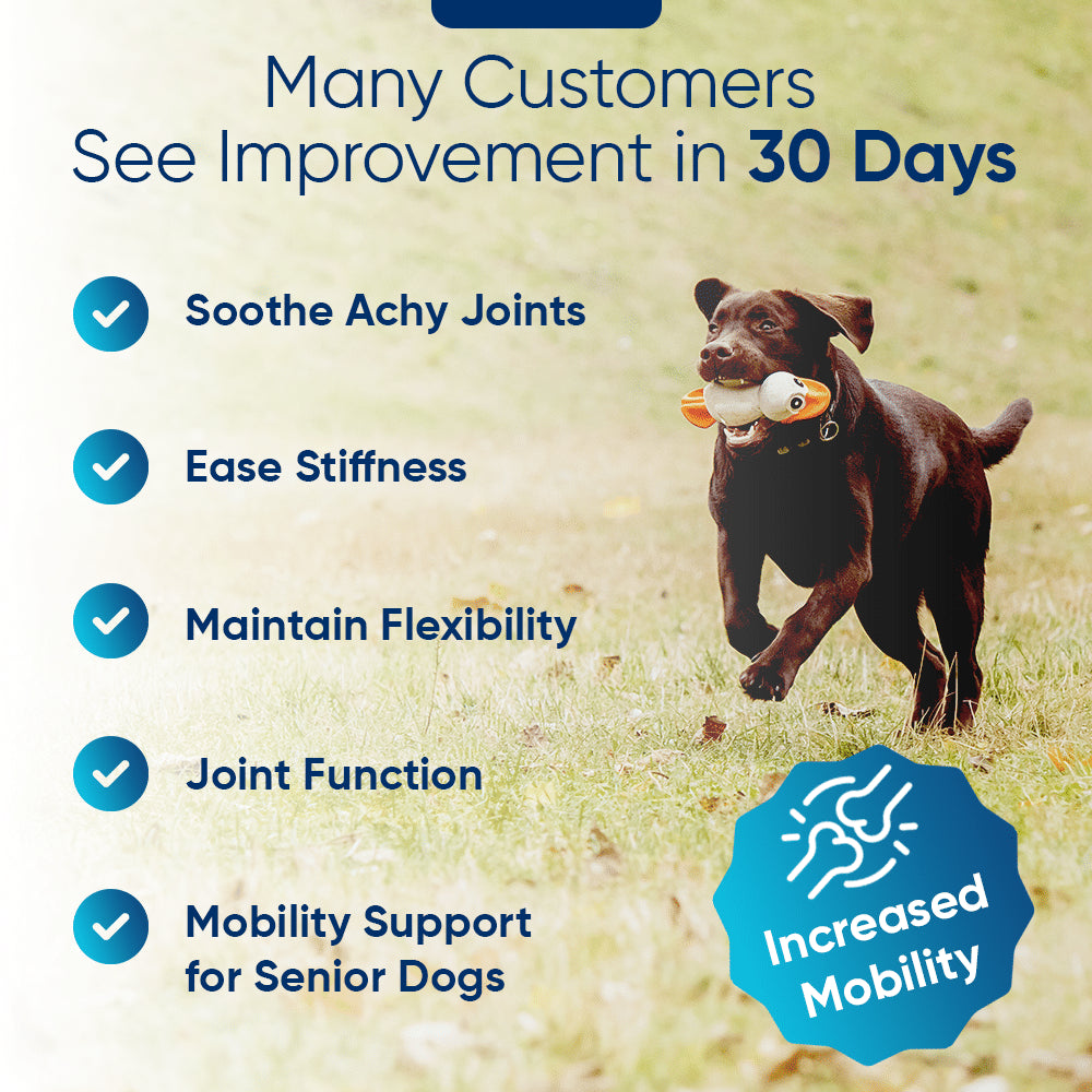 Set of 3 Bacon Flavored Hemp Calming Soft Chews and 3 Allergy & Itch Relief for Dogs with Salmon Oil, Quercetin, Colostrum, Antioxidants and Probiotics