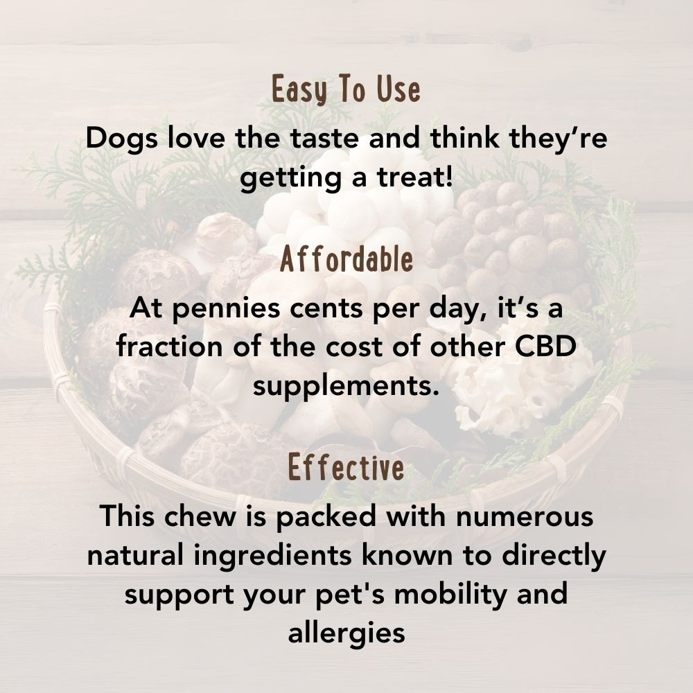Hemp Mushroom Chews For Dogs - Mobility, Calming, Allergy & Immune Support – Super Mushroom Blend with Turkey Tail, Lion’s Main, Shiitake & Green Lipped Mussels - 60ct / 600MG HEMP