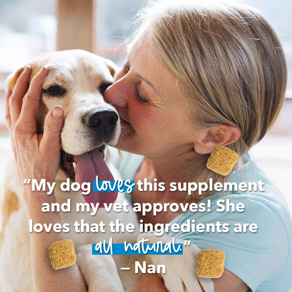 Advanced Hip & Joint Chews With Glucosamine, MSM, Chondroitin, Organic Turmeric (120 ct)