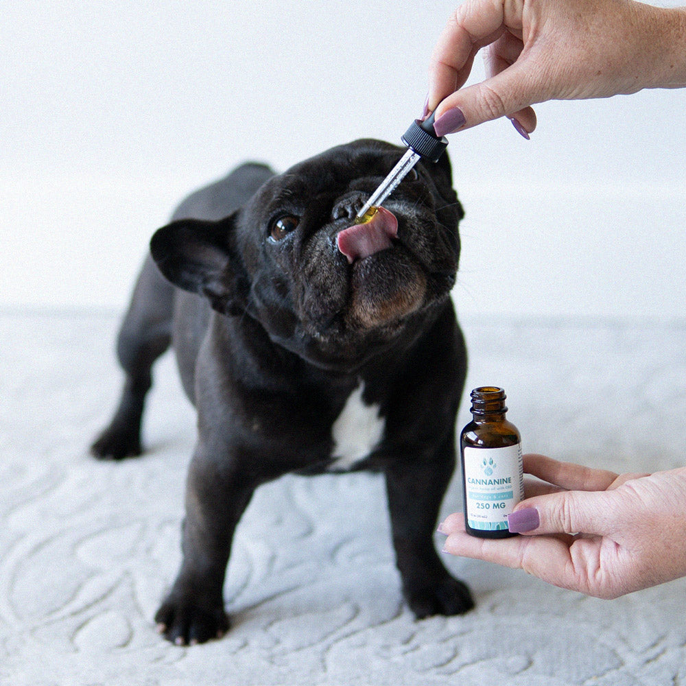 Full Spectrum Hemp Oil (250mg, 500mg, 1000mg)