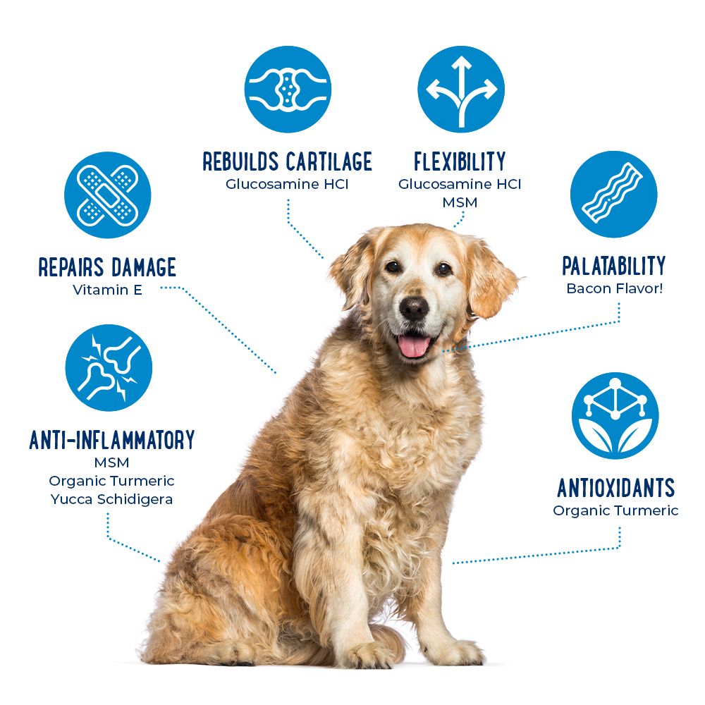 Advanced Hip & Joint Chews With Glucosamine, MSM, Chondroitin, Organic Turmeric (120 ct)