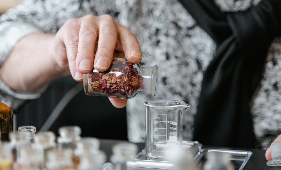 New Canine Cancer Defense Protocol: Mushrooms, Polyphenols & Metabolic Therapy