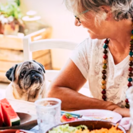 Image of: 10 Beautiful Ways to Celebrate a Senior Dog’s Gotcha Day