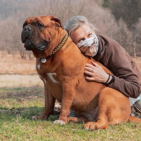 Image of: 7 Ways Senior Dogs Strengthen Family Bonds