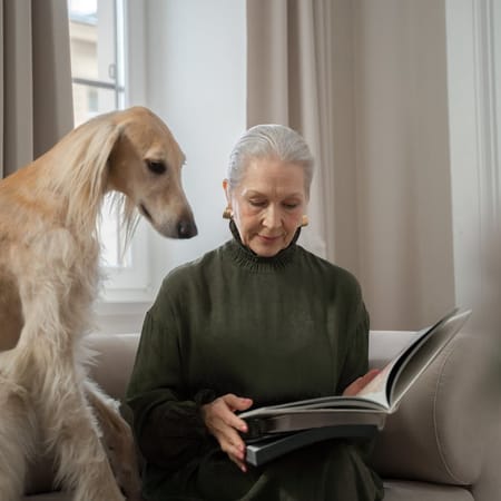 Image of: 12 Sweet Traditions to Start With Your Aging Dog