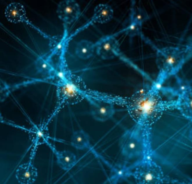 Image of: Reversing Dog Dementia: New Protocols Using Selegiline, MCTs, DHA, & Brain-Boosting Peptides